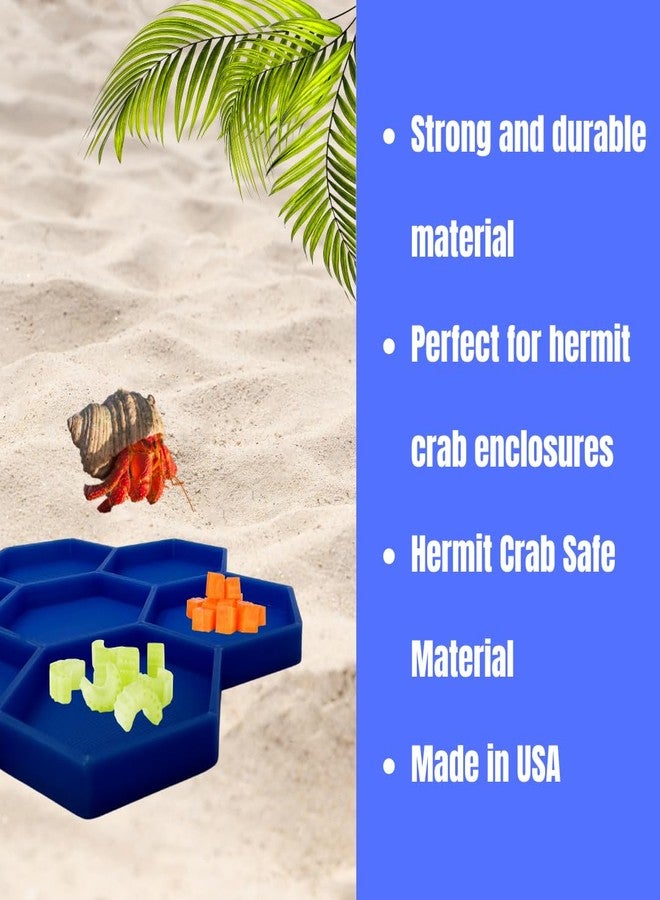 Chatelet Hermit Crab Feeder Dish | 7 Tray Dish for Crab or Snail Feeding | Mix & Match Crab Food | Made in USA (Blue, Hexagon) - Image 4